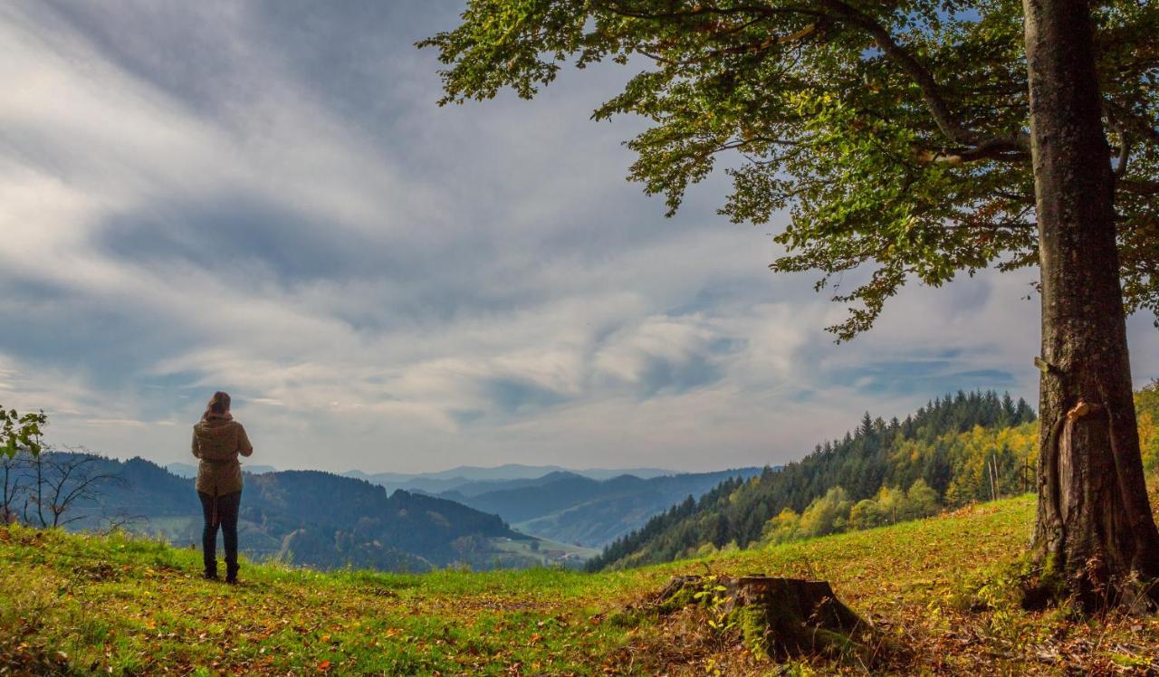 Ferienwohnung Mit Komfort Oberharmersbach Exteriör bild