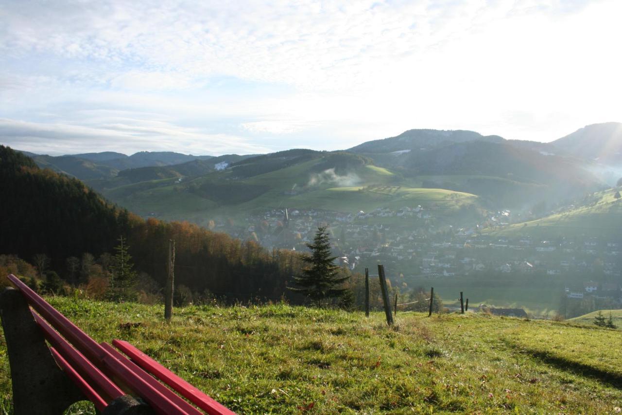 Ferienwohnung Mit Komfort Oberharmersbach Exteriör bild