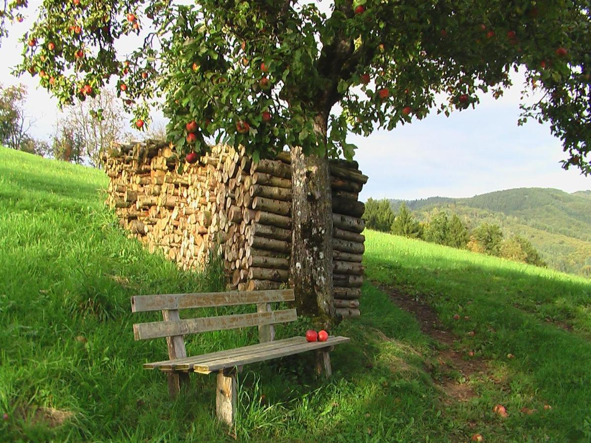 Ferienwohnung Mit Komfort Oberharmersbach Exteriör bild