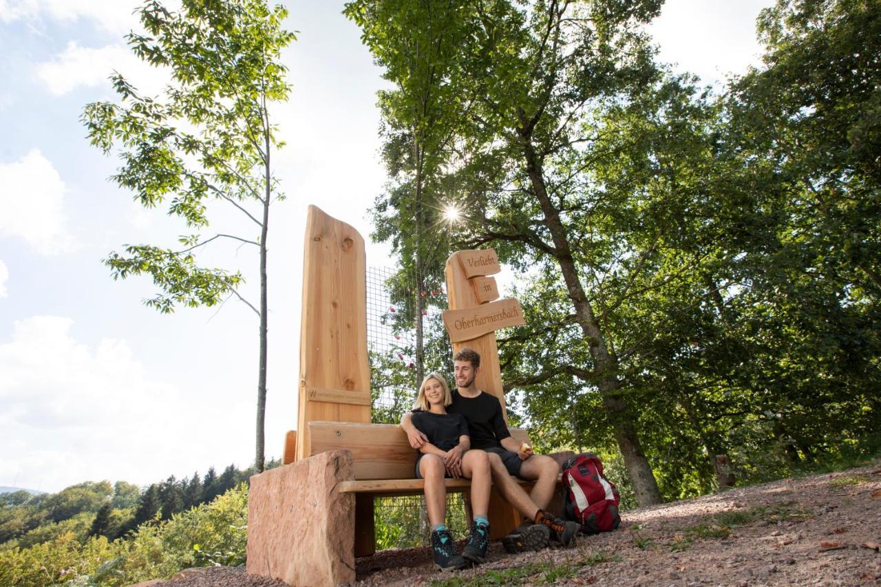 Ferienwohnung Mit Komfort Oberharmersbach Exteriör bild