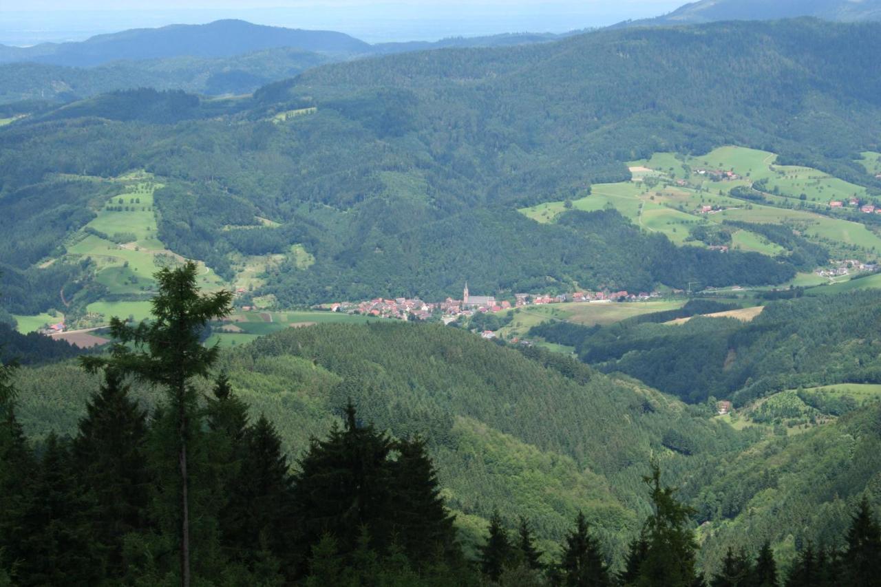 Ferienwohnung Mit Komfort Oberharmersbach Exteriör bild