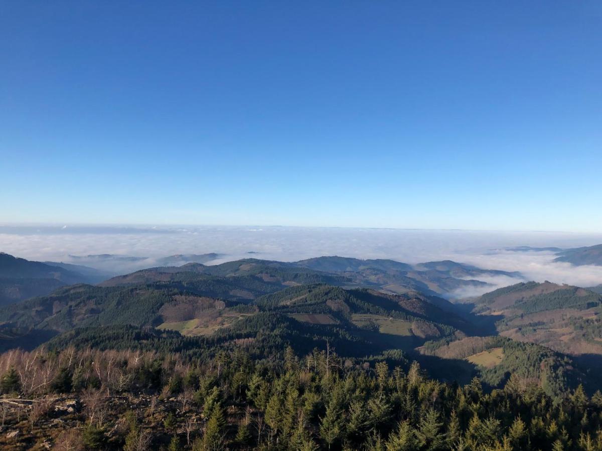 Ferienwohnung Mit Komfort Oberharmersbach Exteriör bild